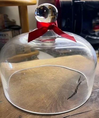 Cloche cake cheese - ,