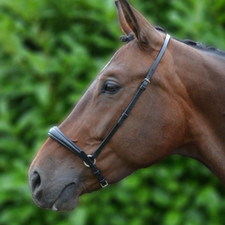 Hy Padded Drop Nose Band