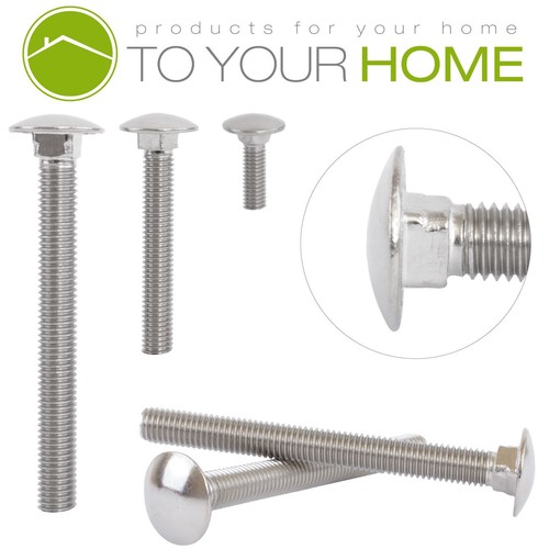 Carriage bolts stainless - carriage,