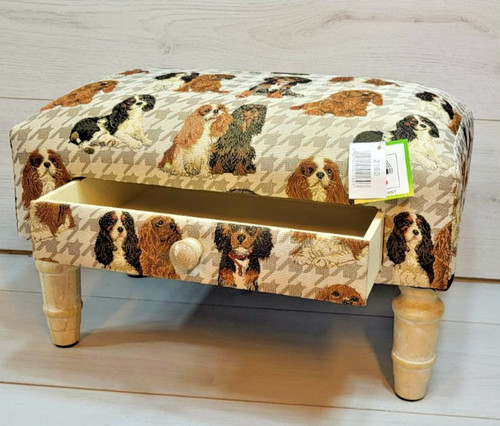 Cavalier king charles spaniel - cavalier,