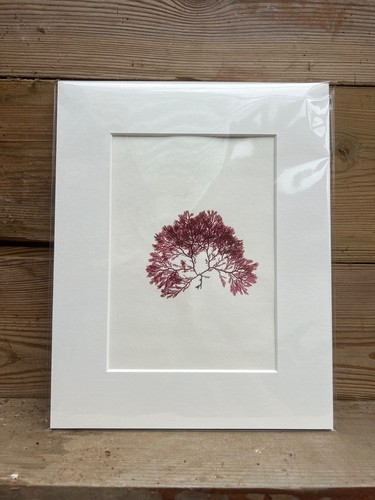 Original handmade seaweed - original,