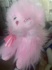 Ty Orchid The Pink Cat Persian