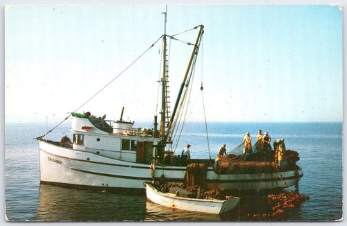 Puget sound salmon - puget, fishing