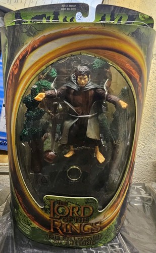 Lord the rings fellowship - rings,