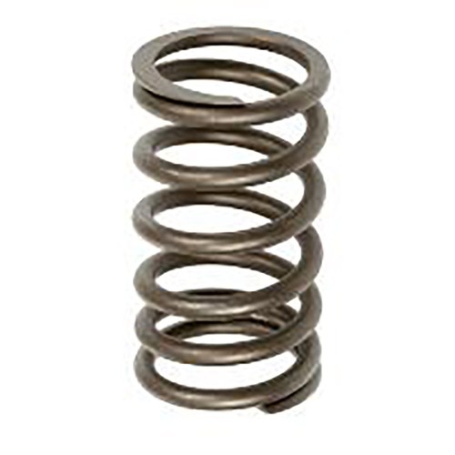 Valve spring fits 300 300b - spring, 310