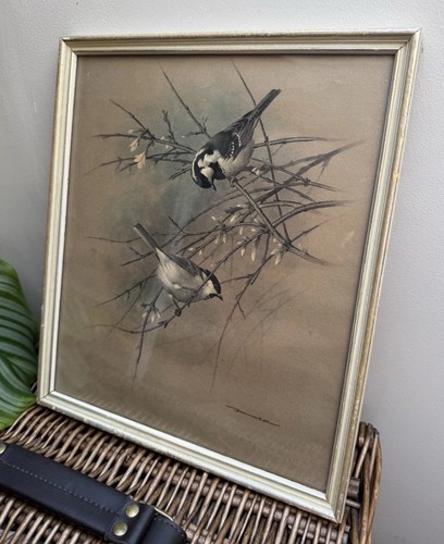 Vintage framed bird - , lithograph