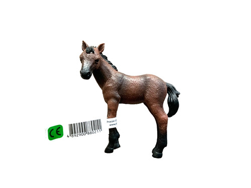 Collecta thoroughbred foal - thoroughbred,