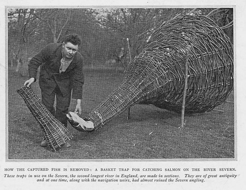 Fishing basket trap for - fishing,