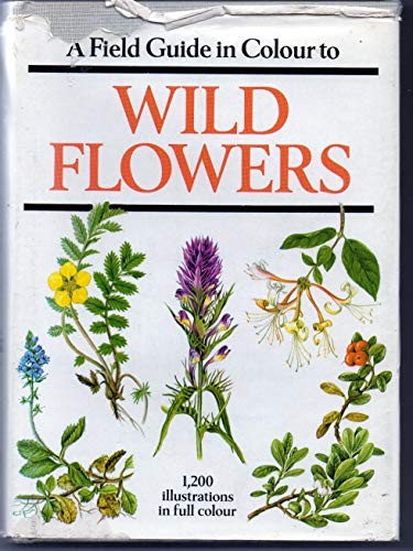 Field gde wild flower - field,