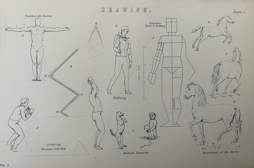 Drawing engraving c1870s - drawing,