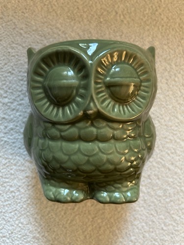 Green owl ceramic plant pot - owl,