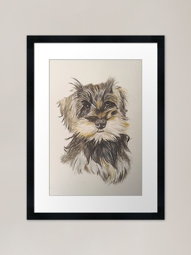 Giant schnauzer puppy framed - giant,