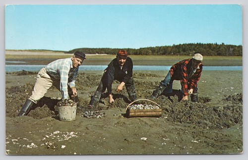 Vintage maine clam - vintage,