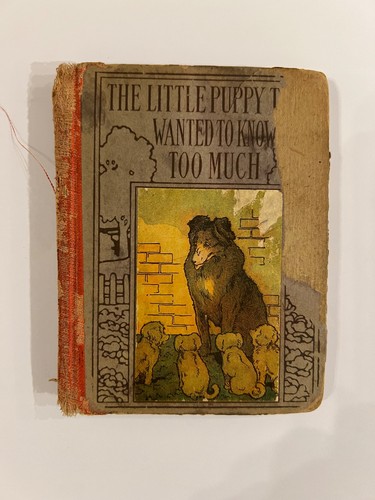 Rare antique book - rare, the