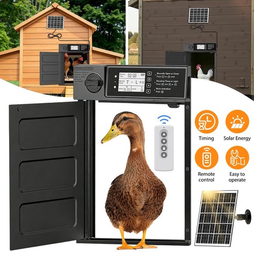 Chicken door opener automatic - opener,
