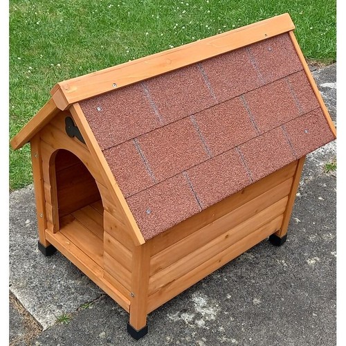Outdoor cat dog - outdoor, pet