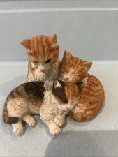 Kittens In A Huddle Royal