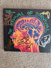 Stone Foundation | The Revival