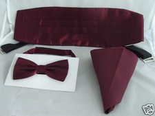 Dark BURGUNDY Mens Bow Tie +