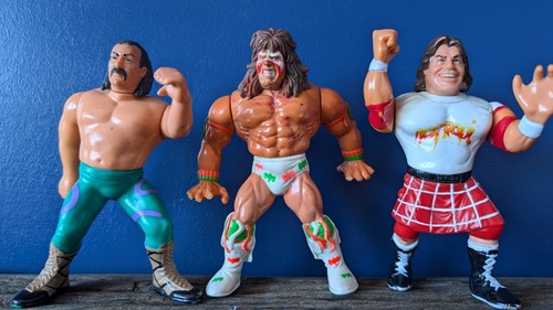 Wwf wwe wrestlers jake the - wrestlers,
