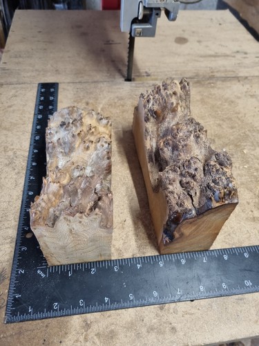 Elm burl offcuts 3 - burl, #3