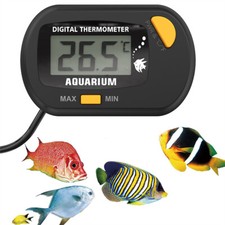 Digital LCD Thermometer