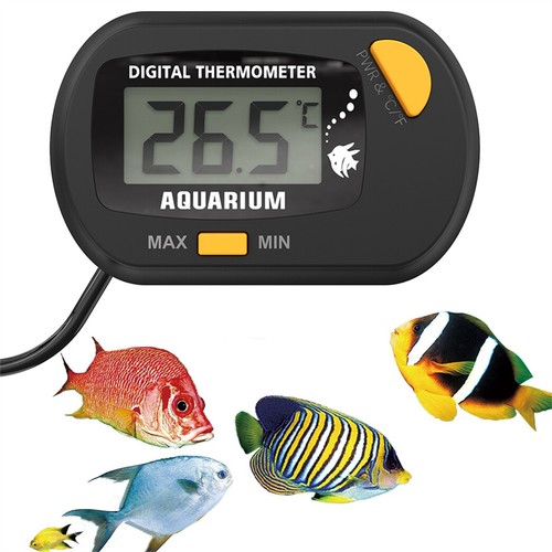 Digital lcd thermometer - digital,