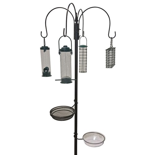 Wild bird feeding - wild, station