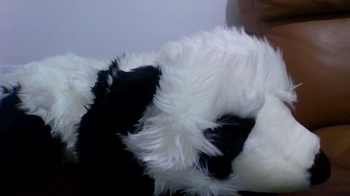 Panda soft toy