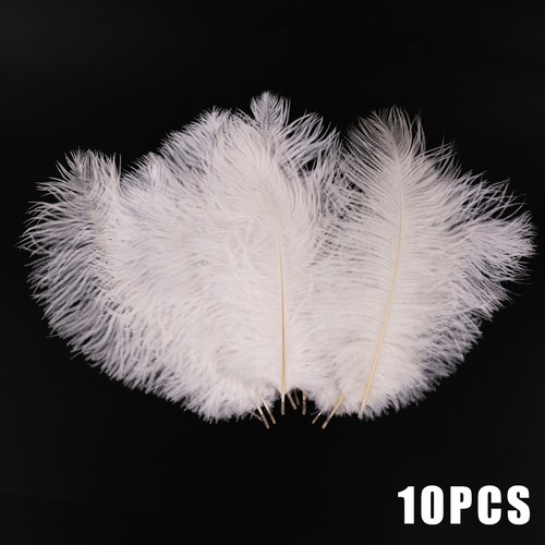 10pcs pack large ostrich - pack,