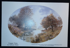 Anthony Waller COPPER TINT