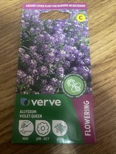 Verve Allyssum Violet Queen, 500 Seeds, New, Sow By 2029, Free Postage