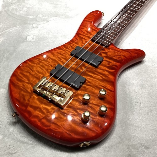 Spector legend custom gig - spector legend, w/gig