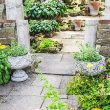 PAIR Of Large Leaf Design Urn