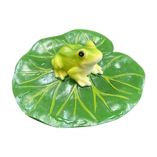 Floating water lily leaf with - water,