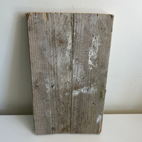 Flat driftwood plank piece - flat,