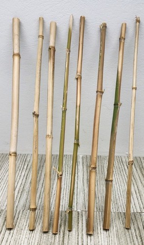 Six diameter natural - six,