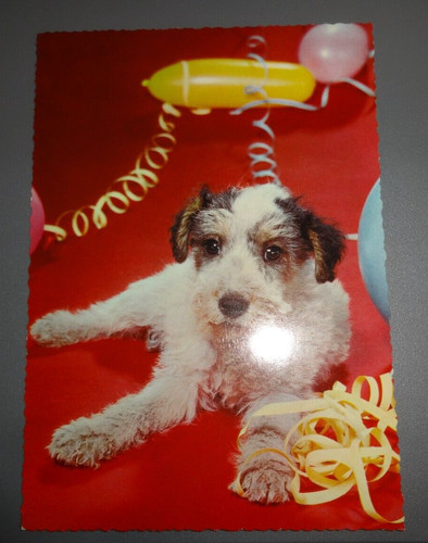 Wire fox terrier vintage - fox,