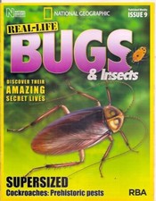 real-life bugs &