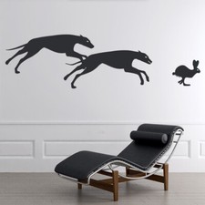 Greyhound Racing Dog Racing