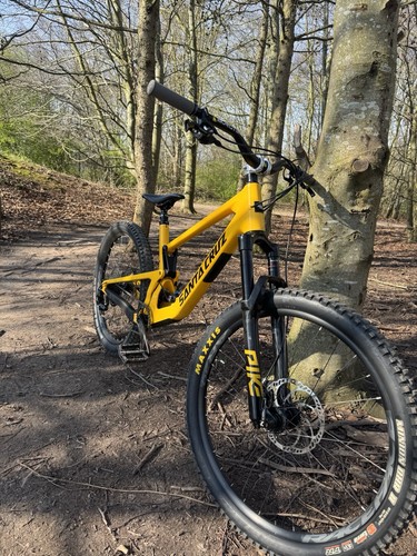 Santa cruz 5010c carbon fiber - santa,