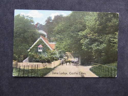 Very old postcard horse - very, a