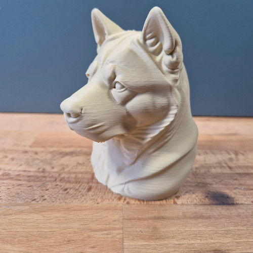 American akita bust - akita,