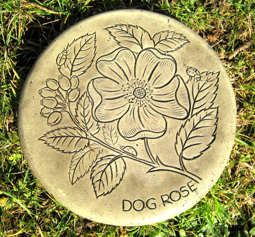 Garden stepping stones - stepping,