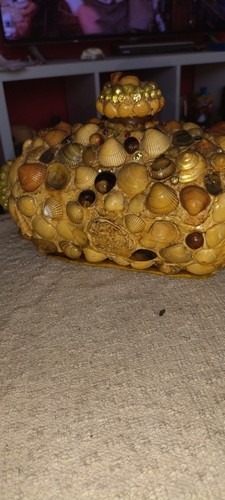 Unique highly shell - /,