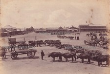 2 Original photographs Market square & street scene Kimberley South Africa 1885