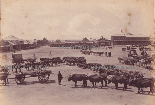 Original photographs market - 2,