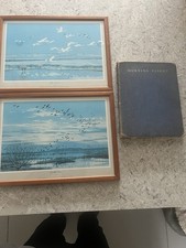Peter Scott 2 Wildfowl Prints & Morning Flight Book