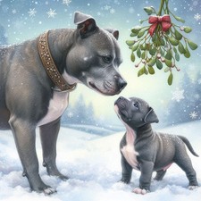 Single Luxury Grey Staffy Christmas Card Dog Gift/Present XMP