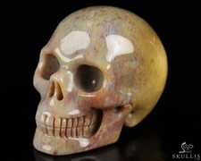 2.0" Petrified Wood Hand